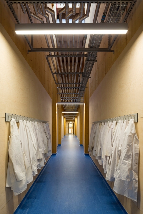 GSK-Centre-for-Sustainable-Chemistry-University-of-Nottingham-Fairhursts-Desisgn-Studio