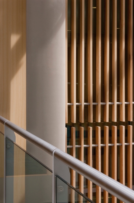 Detail-in-Newton-Building-Nottingham-Trent-University-Hopkins-Architects